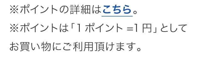 ※ポイントの詳細はこちら。