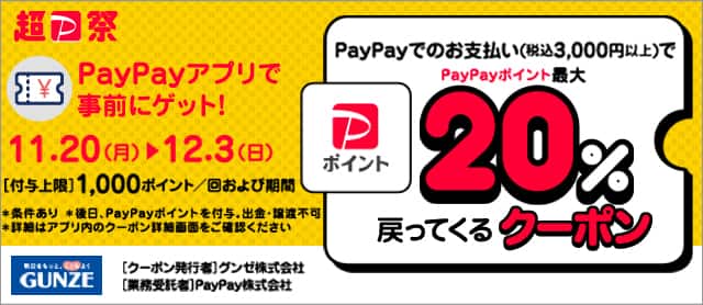 超PayPay祭