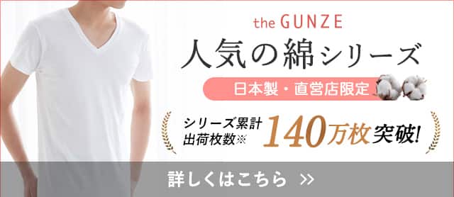 the GUNZE
