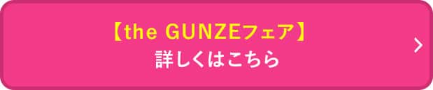 ザグンゼフェア詳しくはこちら