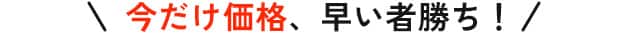 今だけ価格、早い者勝ち！