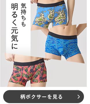 柄ボクサー