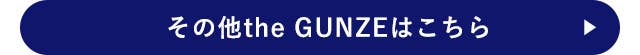 その他theGUNZEはこちら