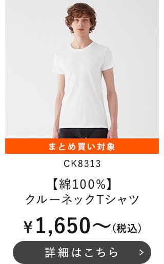 CK8313