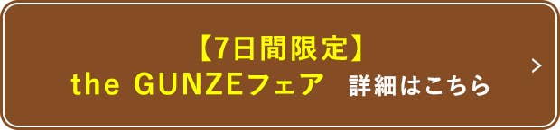 the GUNZEフェア 詳細はこちら