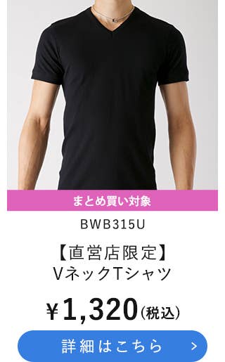 BWB315U