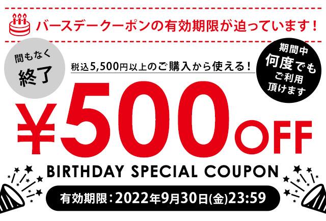 税込5,500円以上ご購入で使える500円OFFクーポン