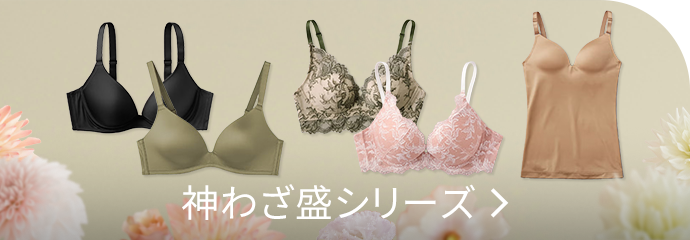 神わざ盛シリーズ