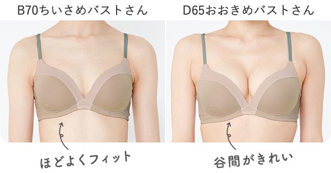 B70ちいさめバストさんはほどよくフィット、D65おおきめバストさんは谷間がきれい