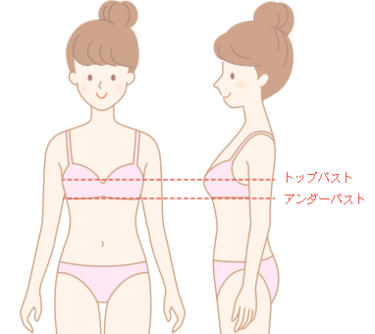 トップバストとアンダーバストの場所を示す絵図